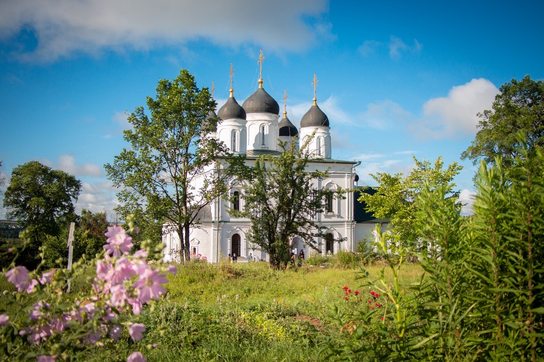 Альт (альтернативный текст)